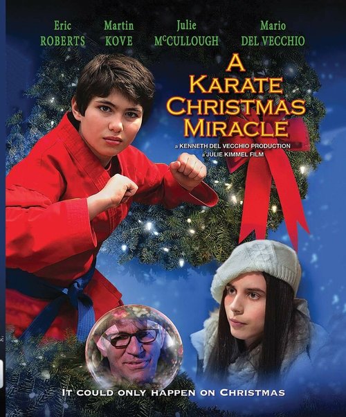 Рождественское чудо в стиле карате  (2019)