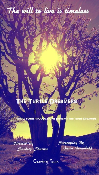 The Turtle Dreamers