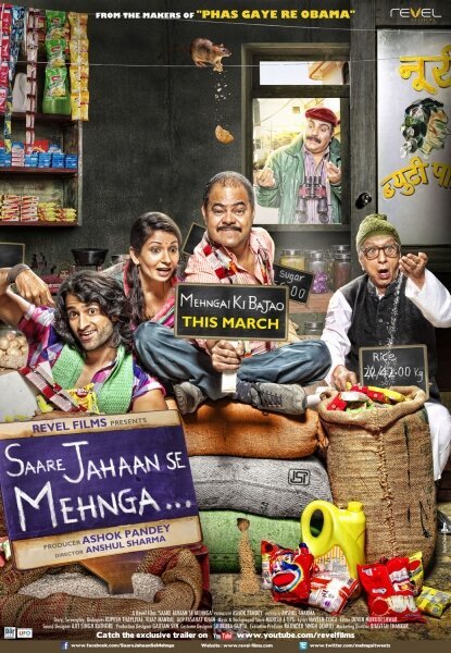 Saare Jahaan Se Mehnga  (2013)