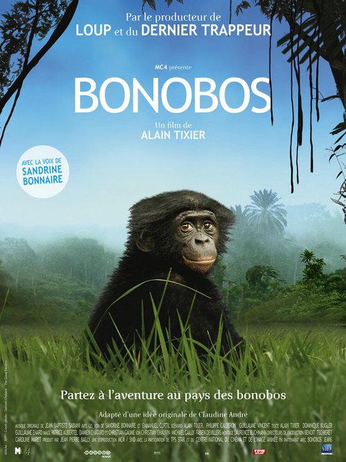 Бонобо